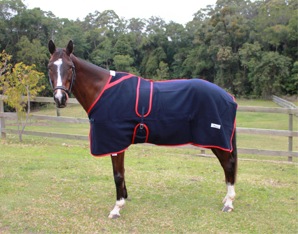Neddy Wear Kersey Wool Rug