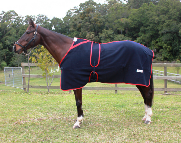 Neddy Wear Kersey Wool Rug