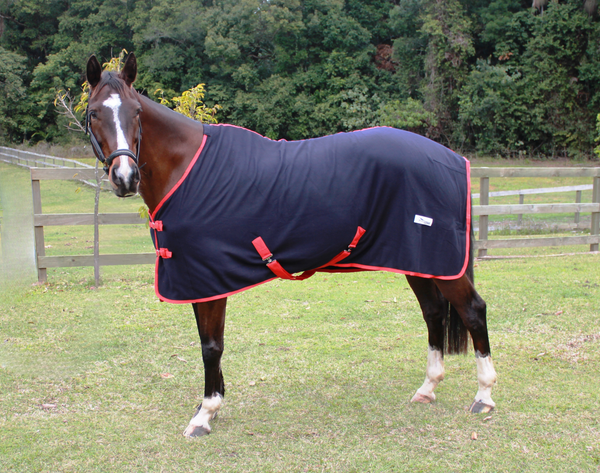 Neddy Wear Polar Fleece Rug Only