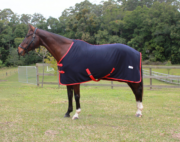 Neddy Wear Polar Fleece Rug Only