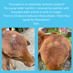 Equine Soap Co. Kuwasha Balm