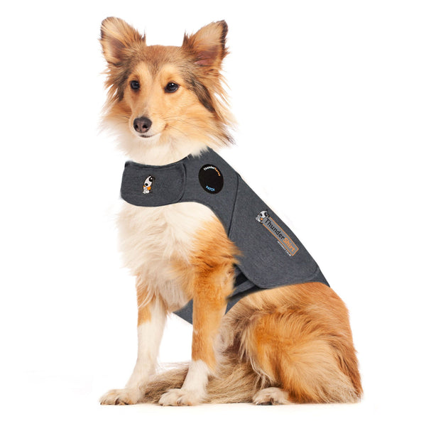 Thundershirt for Dogs