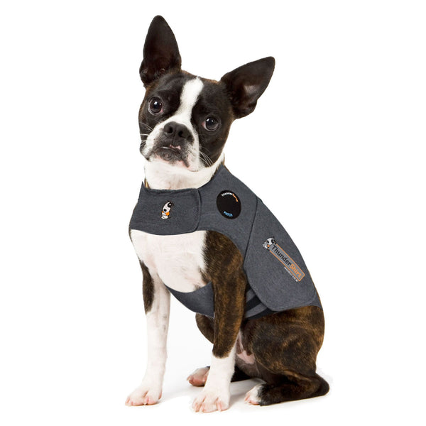 Thundershirt for Dogs