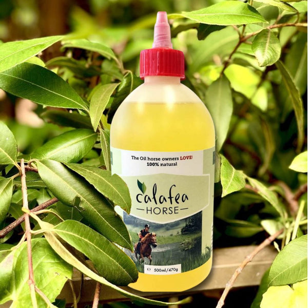 Calafea Oil