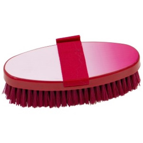 Showmaster Iridescent Body Brush