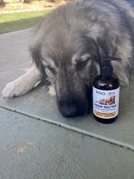 Provex Hemp Nectar + Salmon & MCT Oil