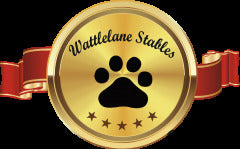 Wattlelane Stables Canine - Equine Passion