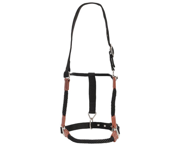 Fort Worth Hybrid Rope/Web Halter Full