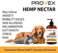 Provex Hemp Nectar + Salmon & MCT Oil