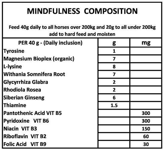 Mindfulness for Horses | equine-passion-minerals.