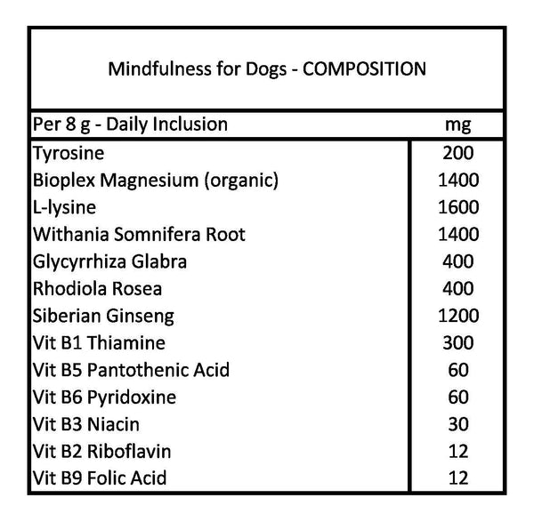 Mindfulness for Dogs | equine-passion-minerals.