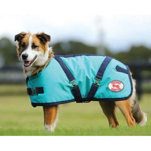 Thermo Master Supreme Dog Coat Teal / Navy