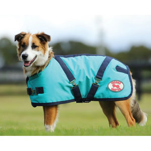 Thermo Master Supreme Dog Coat Teal / Navy
