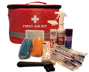 Travel 1st Aid Kit